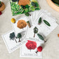 Read And Play - Early Learning Subscription Box
