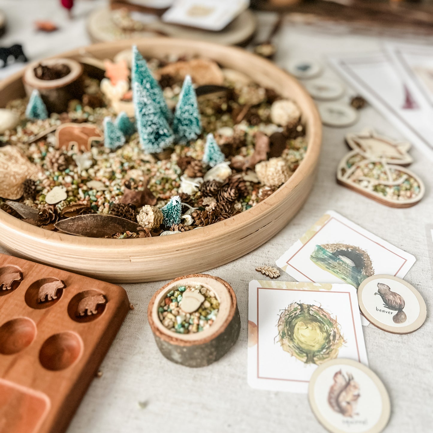 Woodland - Dig & Play