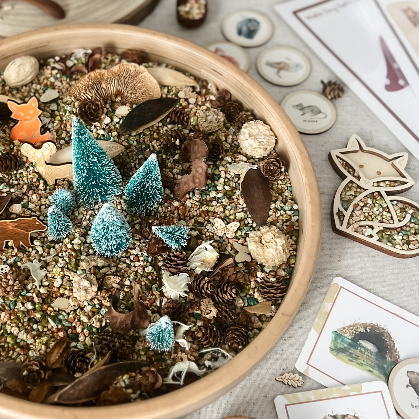 Woodland - Dig & Play