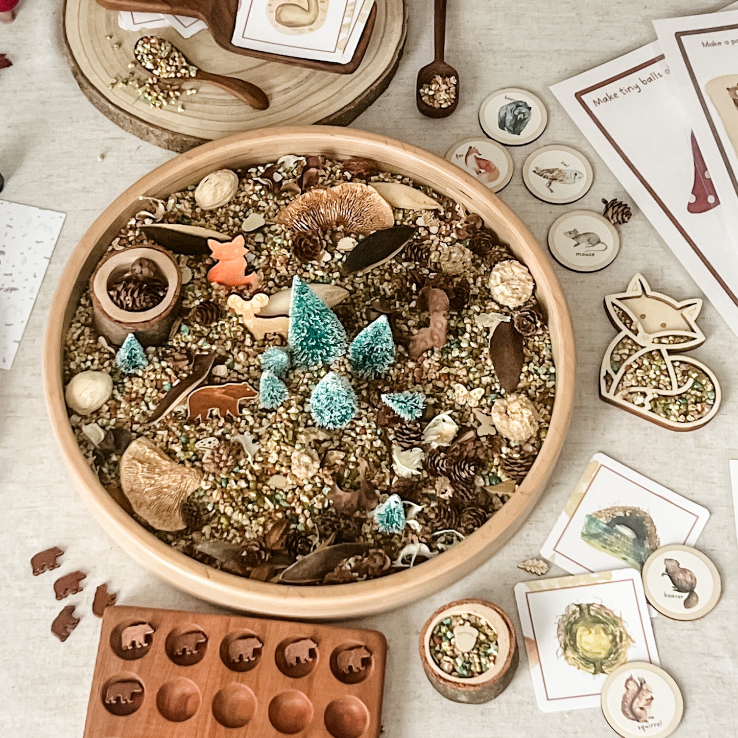 Woodland - Dig & Play