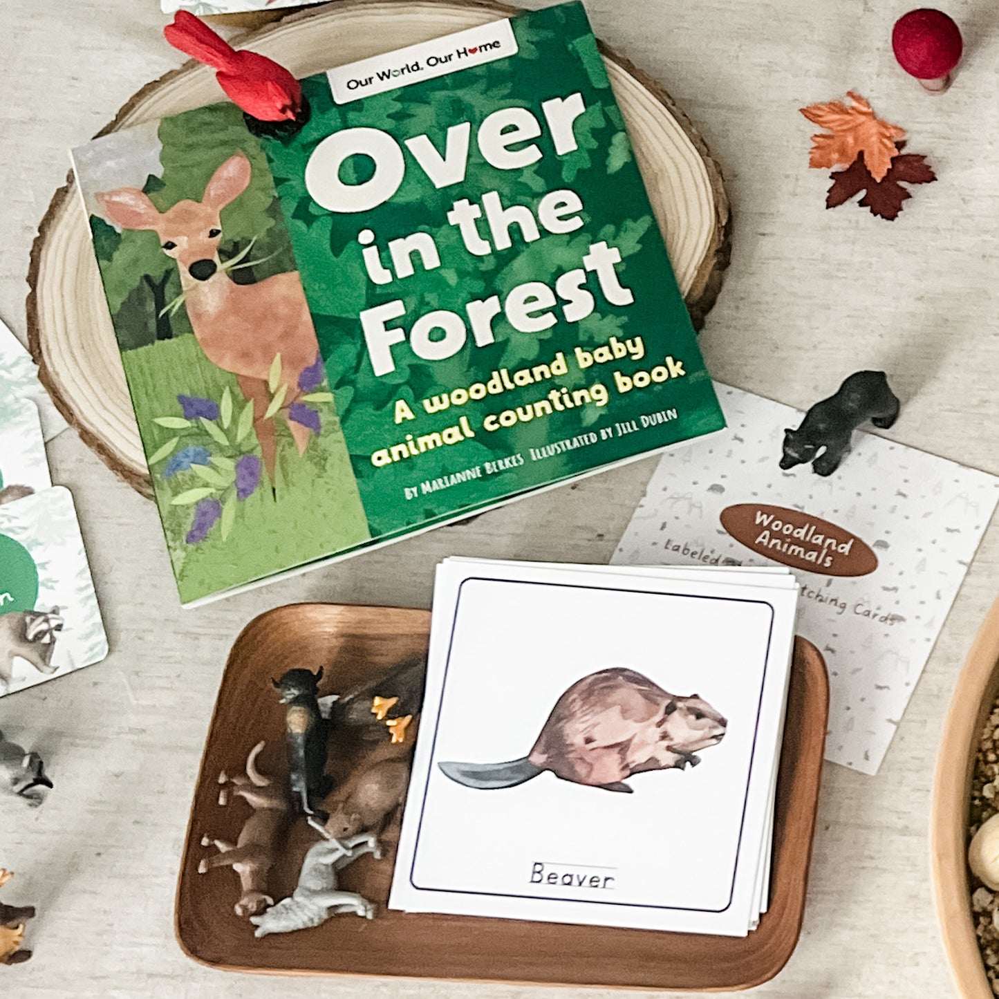 Woodland - Read & Play Box