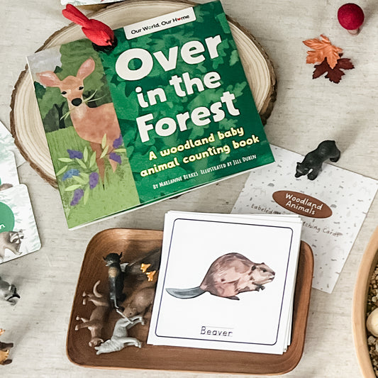 Woodland - Read & Play Box