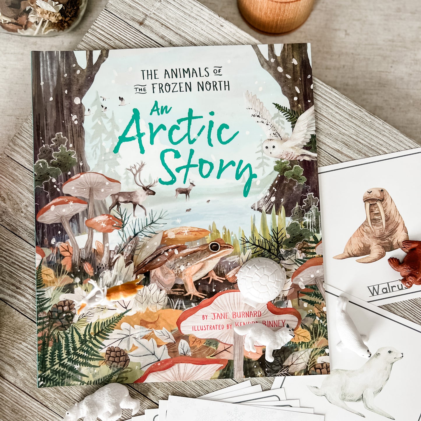 Arctic - Read & Play Box - Chickadees Wooden Toys