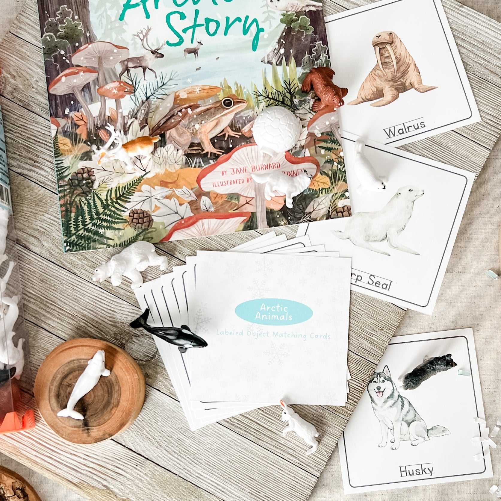 Educational materials about Arctic animals on a wooden surface