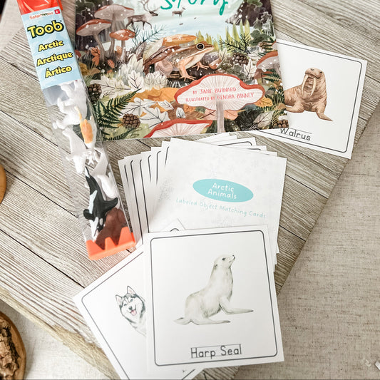 Arctic Animal Matching - Cards and Figures - Chickadees Wooden Toys