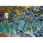Irises by Vincent van Gogh 1000 Piece Jigsaw Puzzle Eurographics