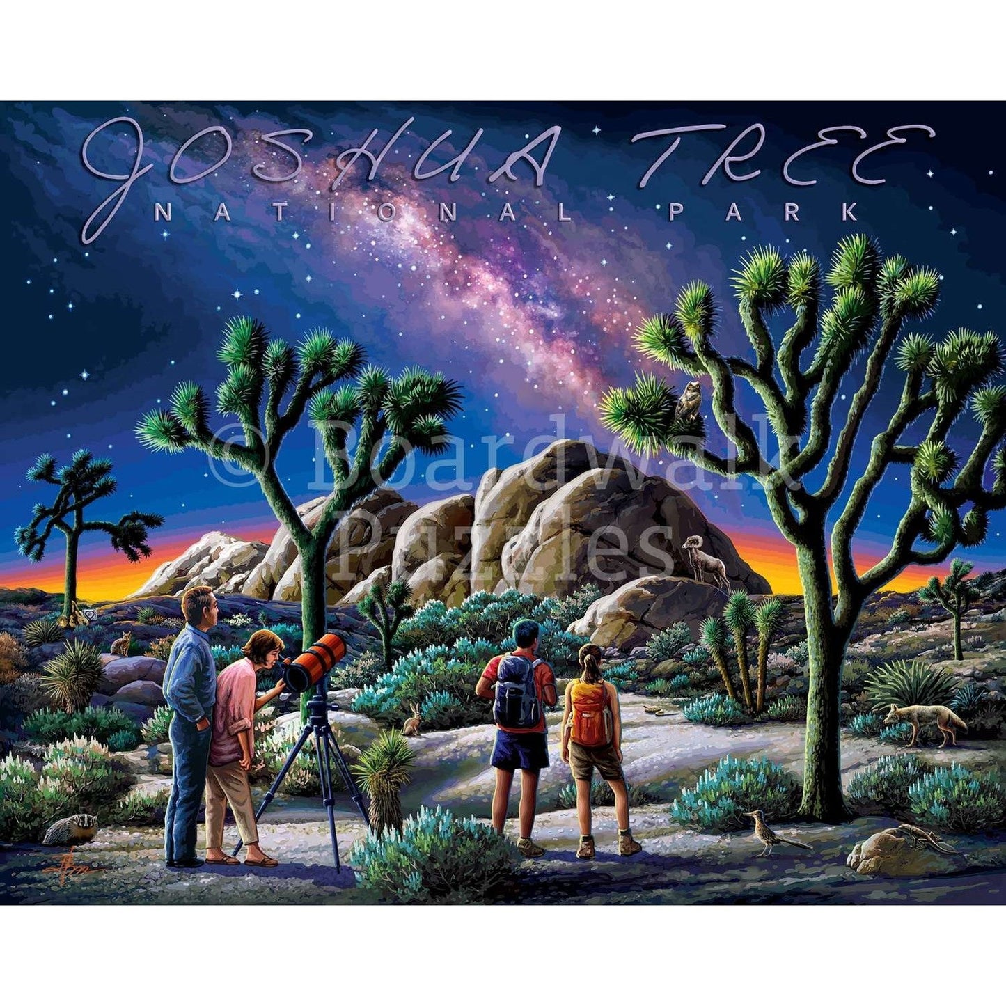 Joshua Tree National Park 500 Piece Jigsaw Puzzle Boardwalk