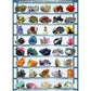 Minerals 1000 Piece Jigsaw Puzzle Eurographics