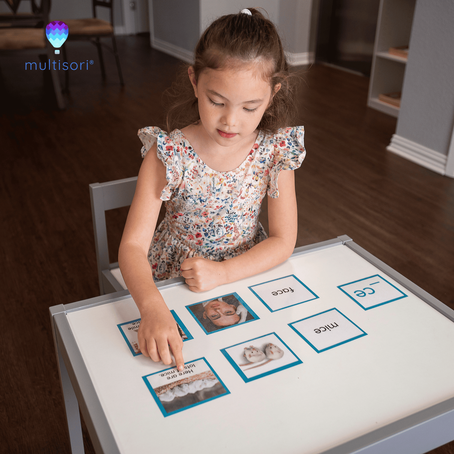 Montessori Homeschooling Language Arts Curriculum