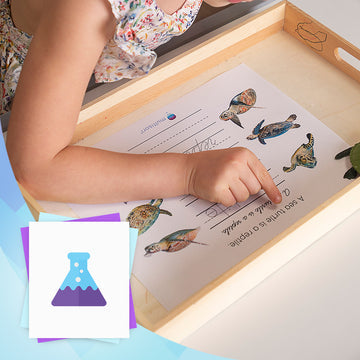 Montessori Homeschooling Science Curriculum