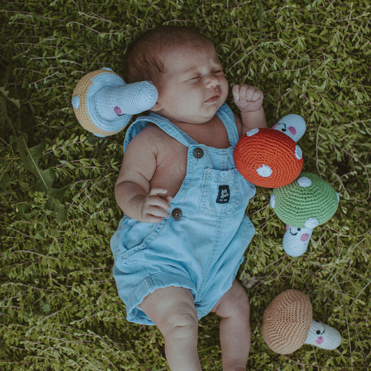 Friendly Mushroom Rattle - Chickadees Wooden Toys
