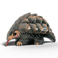 Pangolin 3D Cardboard Model Kit Eugy
