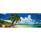 Paradise Palms 2000 Piece Panoramic Jigsaw Puzzle Heye