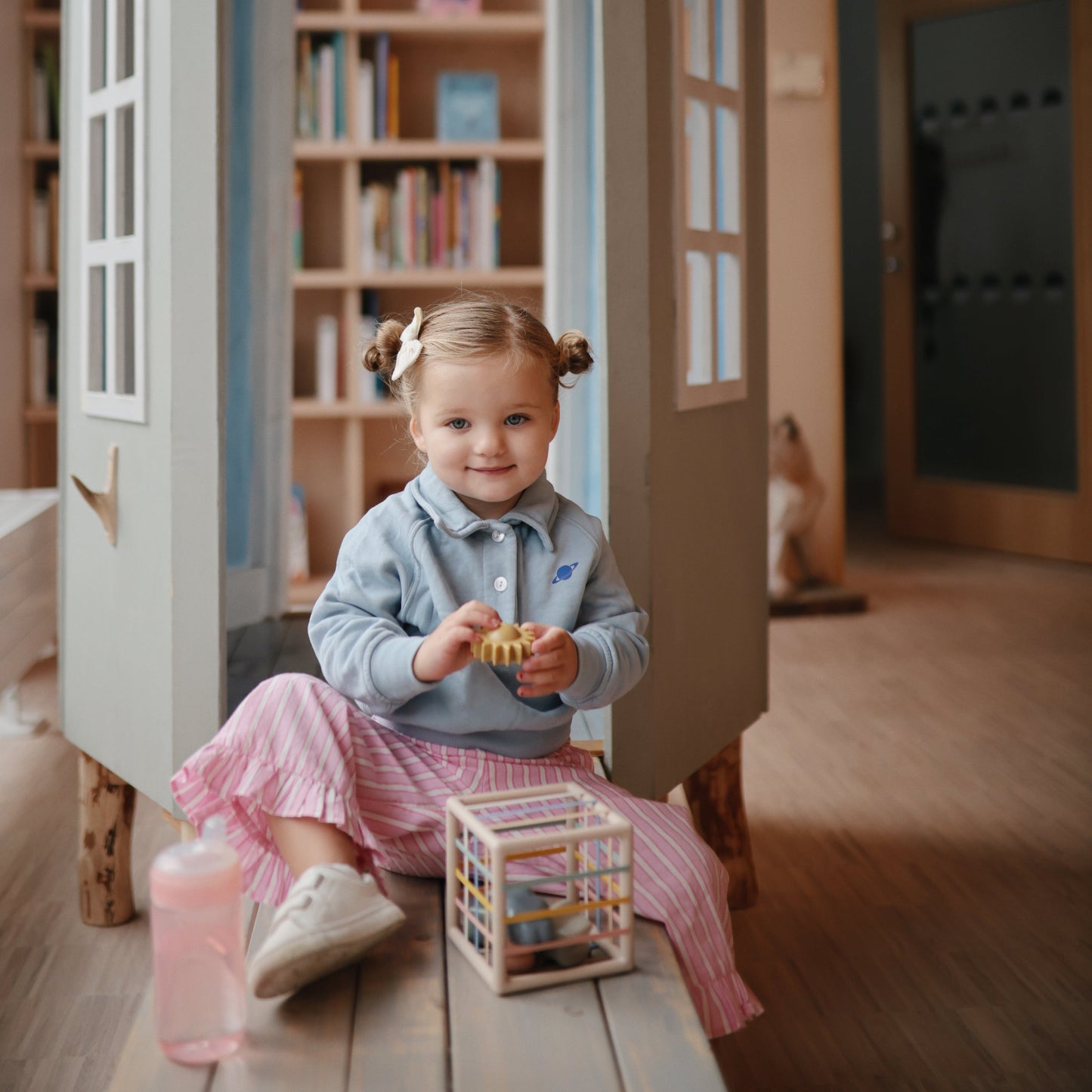 Elastic Shape Sorter
