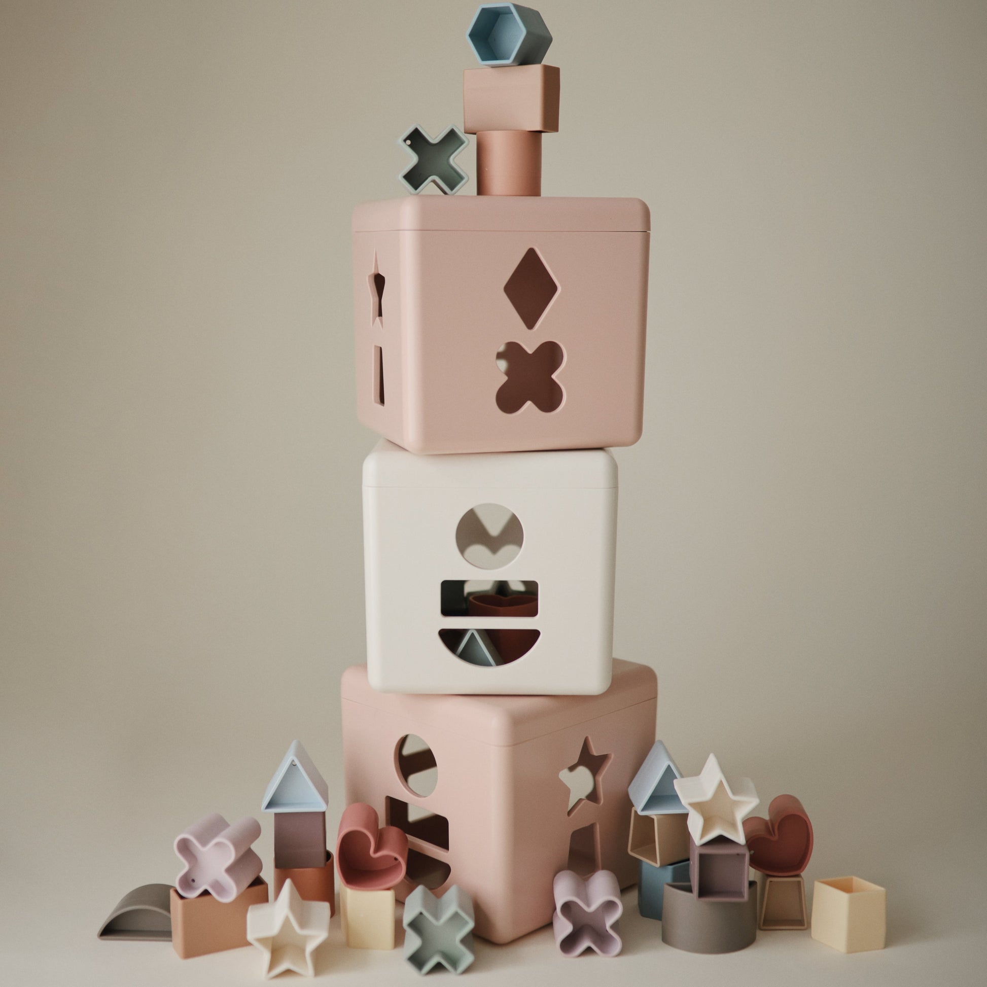 Shape Sorting Box - Chickadees Wooden Toys
