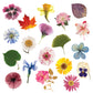 Flower Press DIY – Includes All Parts