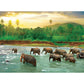 Rainforest 1000 Piece Jigsaw Puzzle Eurographics