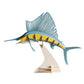 Sailfish 3D Cardboard Model Kit Fridolin