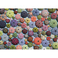 Sea Urchins 1000 Piece Jigsaw Puzzle Piatnik