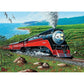 Southern Pacific 1000 Piece Jigsaw Puzzle Cobble Hill