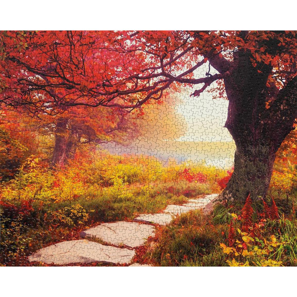 Stone Path 1000 Piece Jigsaw Puzzle Springbok