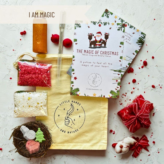 The Magic of Christmas - Pouch