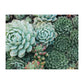 Succulent Garden Double-Sided 500 Piece Jigsaw Puzzle Galison