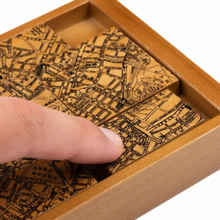 The Case of the Secret Society Brain Teaser Puzzle Professor Puzzle