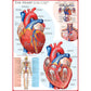 The Heart 1000 Piece Jigsaw Puzzle Eurographics