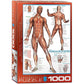 The Muscular System 1000 Piece Jigsaw Puzzle Eurographics