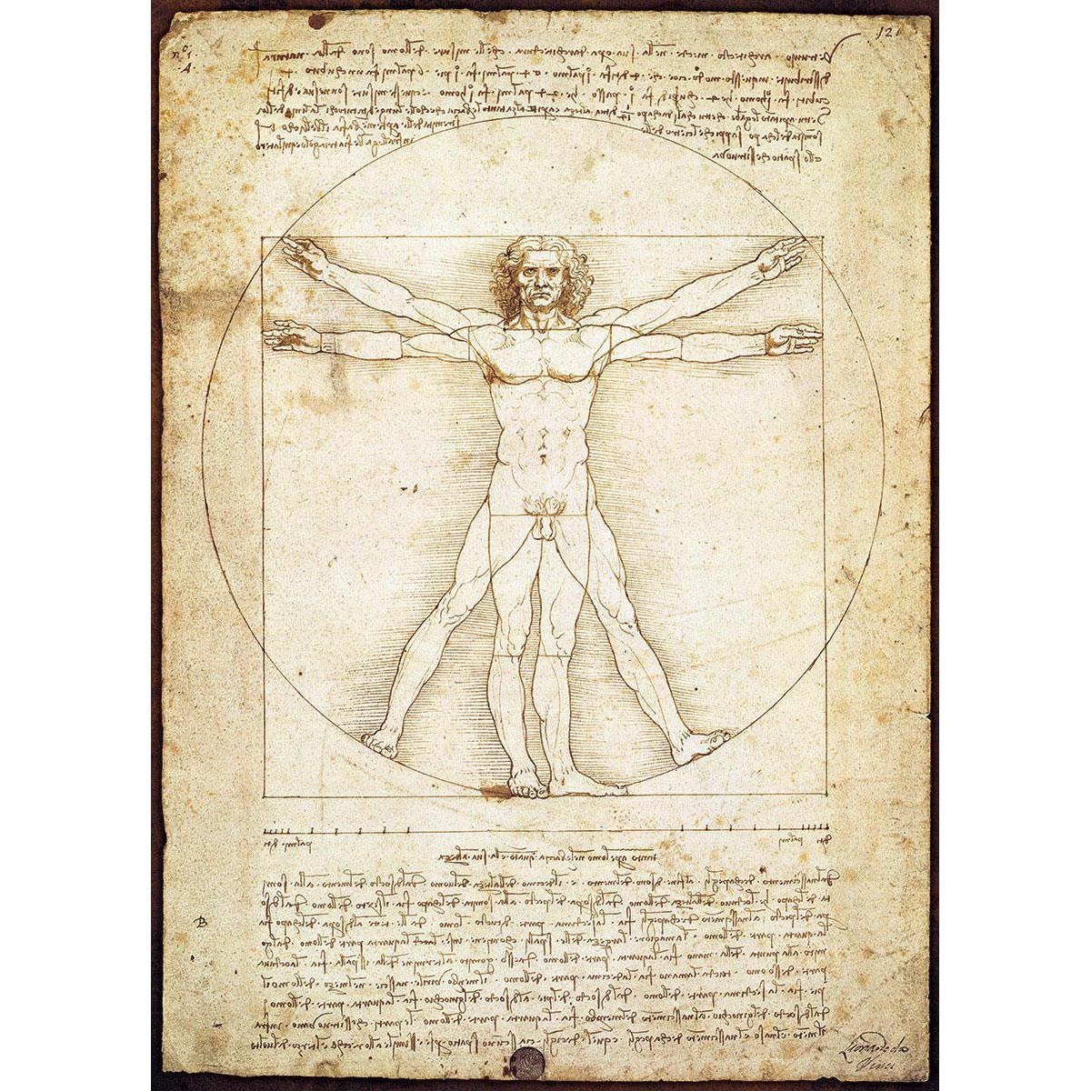 The Vitruvian Man 1000 Piece Jigsaw Puzzle Eurographics