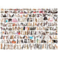 The World of Cats 1000 Piece Jigsaw Puzzle Eurographics