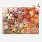 Vibrant Seashells 1000 Piece Jigsaw Puzzle Galison