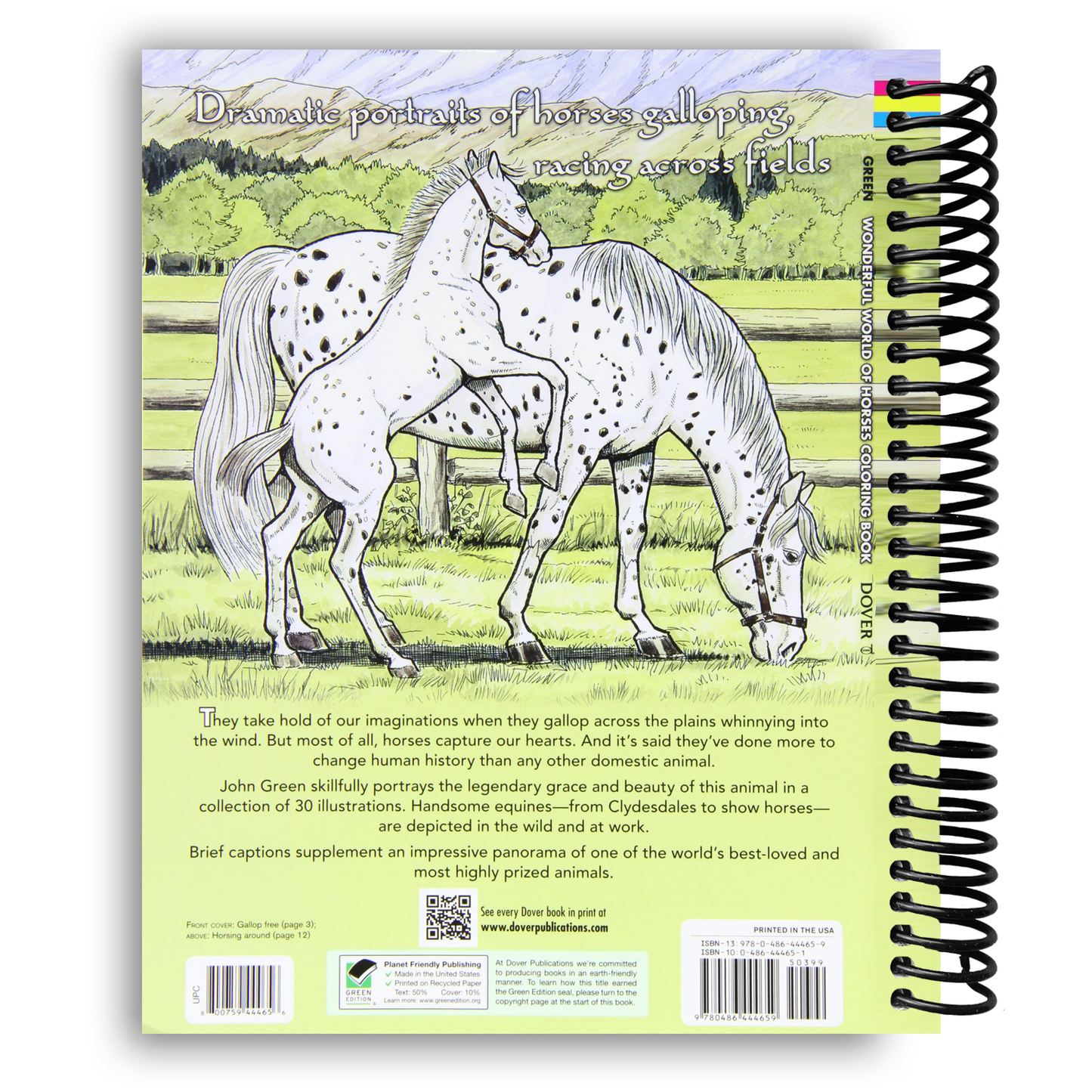 Wonderful World of Horses Coloring Book (Spiral Bound)
