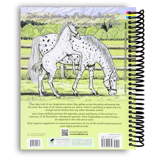 Wonderful World of Horses Coloring Book (Spiral Bound)