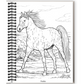 Wonderful World of Horses Coloring Book (Spiral Bound)
