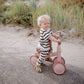 Mini Toddler Bike