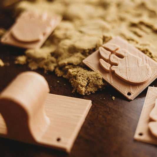 Dinosaur Footprints - Eco Stamp Set