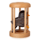 Bird in Cage Puzzle