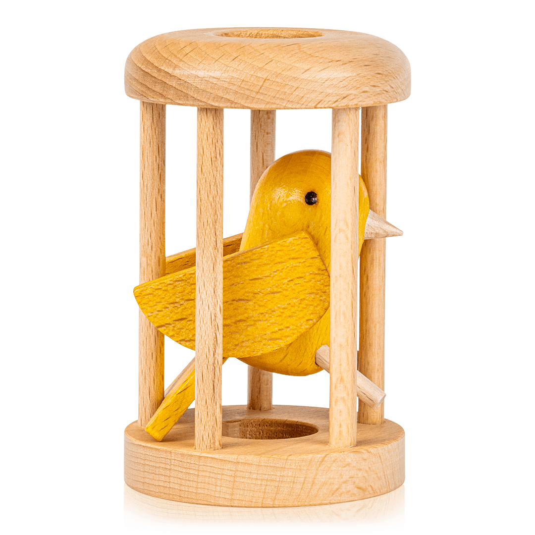 Bird in Cage Puzzle