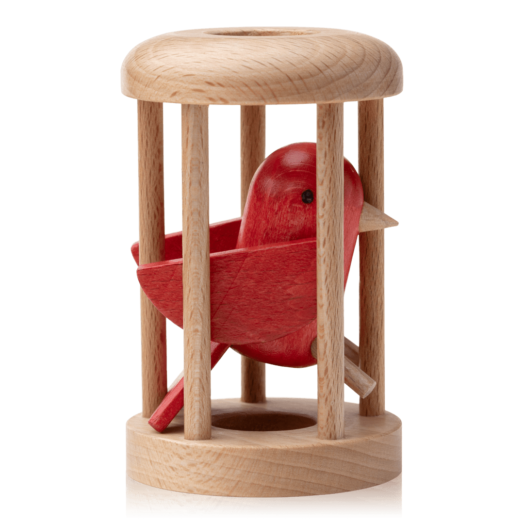 Bird in Cage Puzzle