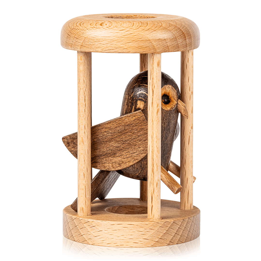 Bird in Cage Puzzle