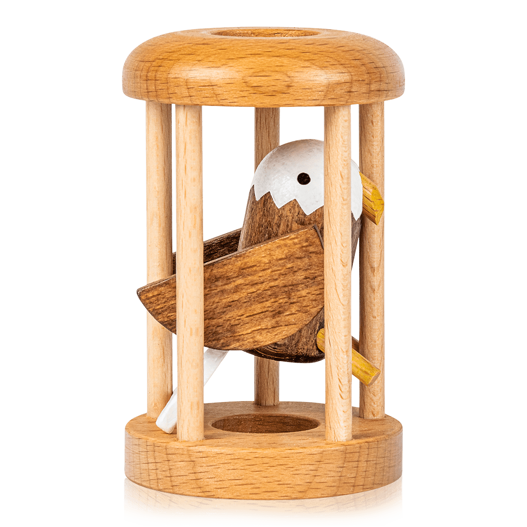 Bird in Cage Puzzle