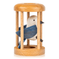 Bird in Cage Puzzle