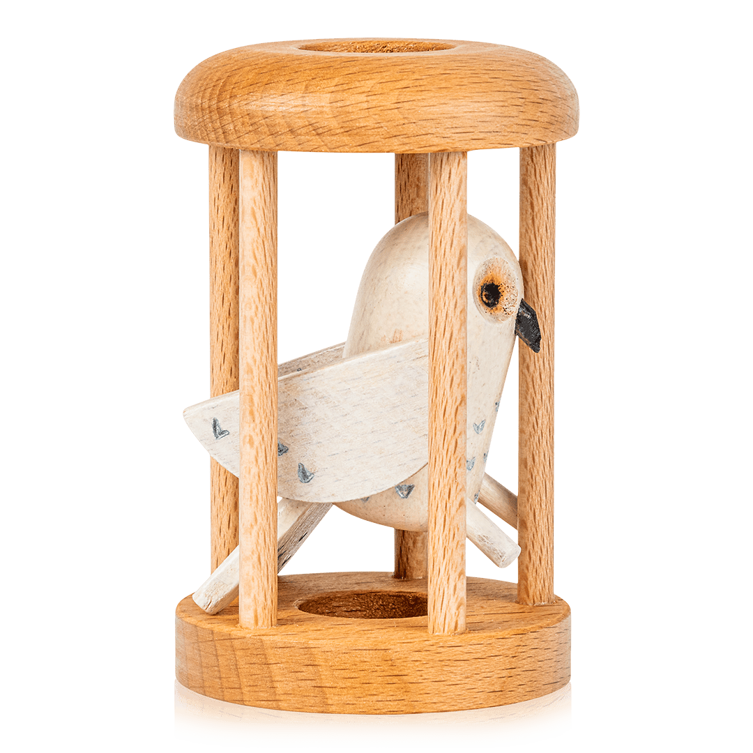 Bird in Cage Puzzle