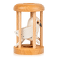 Bird in Cage Puzzle