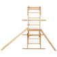 Grove | Foldable Jungle Gym - Wall Mounted - Chickadees Wooden Toys