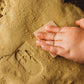 Dinosaur Footprints - Eco Stamp Set