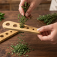 Bamboo Herb Stripper