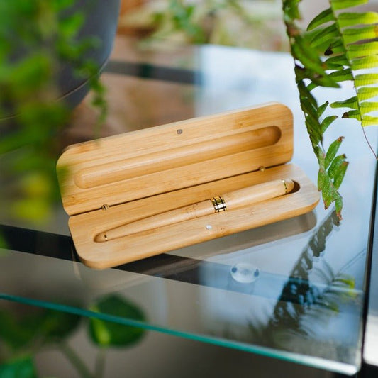 Bamboo Pen in Case
